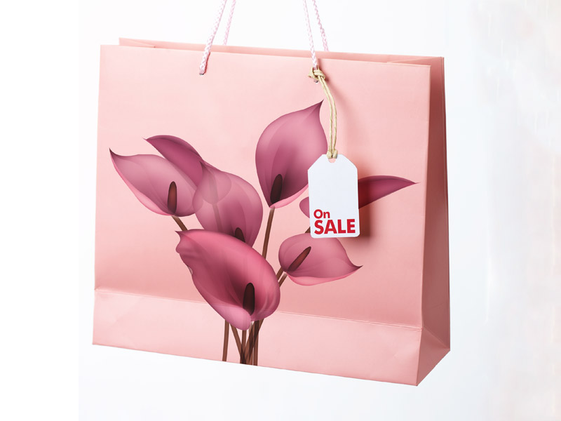 Reticule